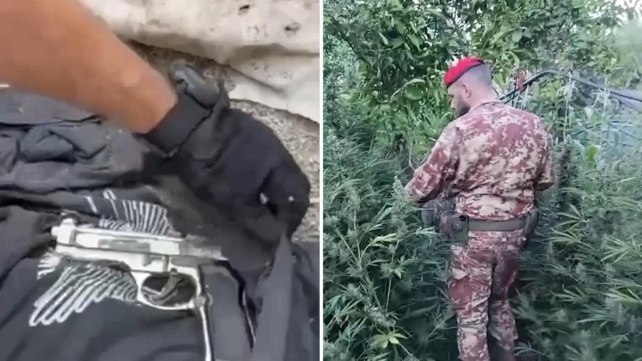 Droga, armi e munizioni da guerra: scoperto arsenale nel Reggino