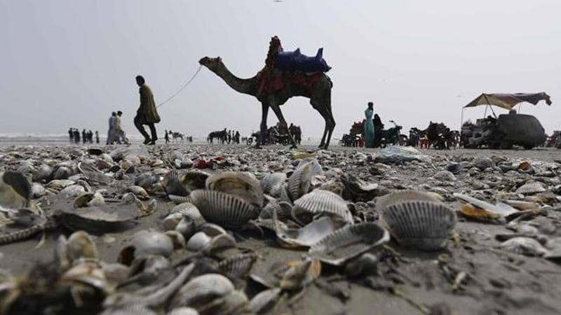 EPA/SHAHZAIB AKBER