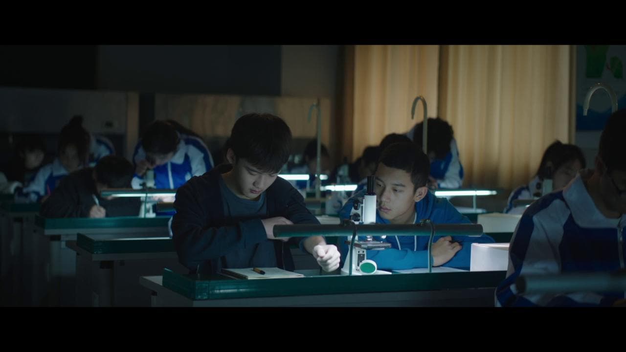 "Breve storia di una famiglia", anche i borghesi (cinesi) piangono. Il trailer