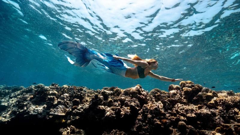 il mermaiding al Sun Siyam Olhuveli