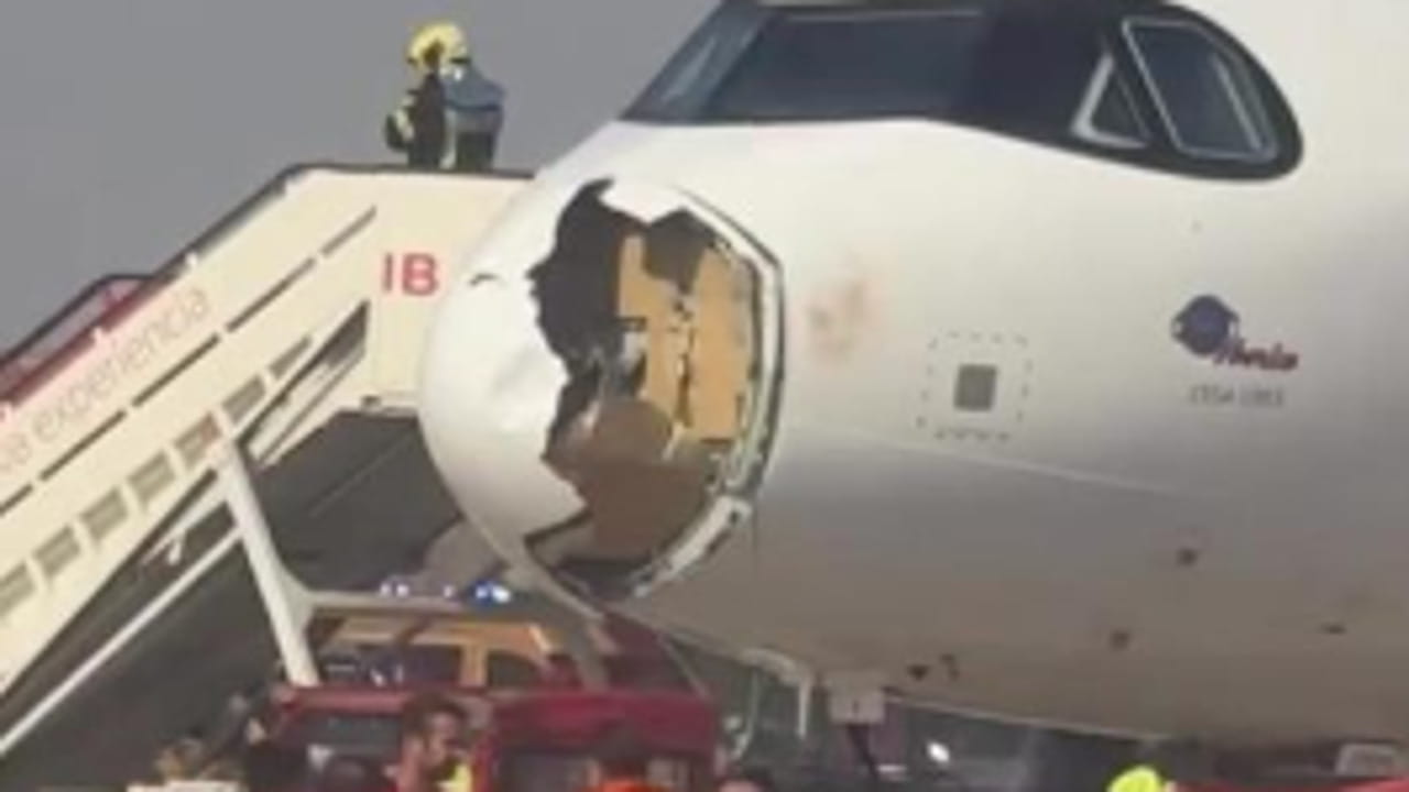 Madrid, l’aereo decolla e centra uno stormo: muso danneggiato, costretto all'atterraggio d’emergenza