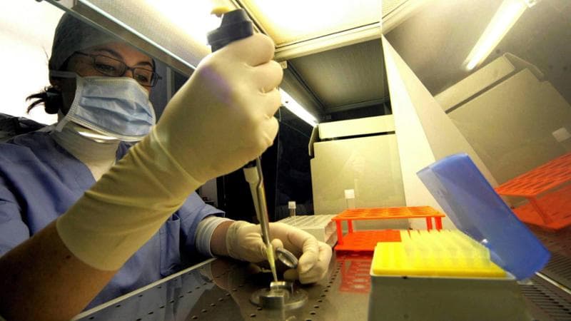 Mangiano un panino con i broccoli e finiscono in terapia intensiva: ricoverati due ragazzi a Cosenza