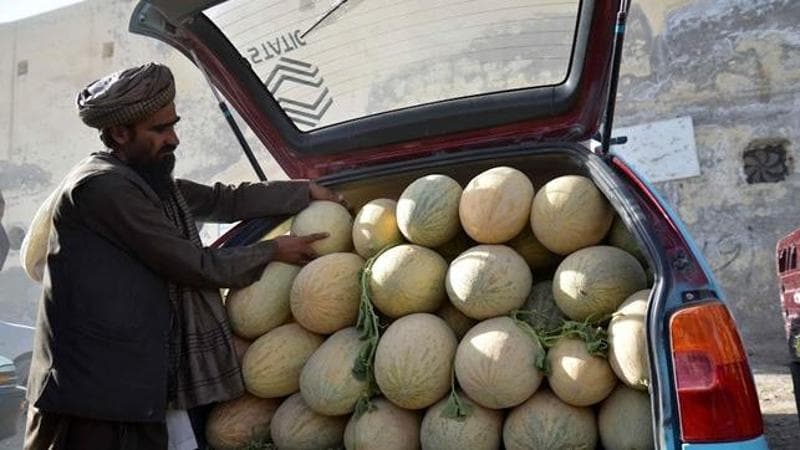 La quadratura del melone