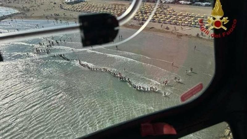 La catena umana di bagnanti per la ricerca del piccolo