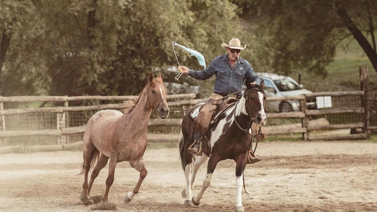 Fieracavalli apre le porte allo spettacolo del dressage 