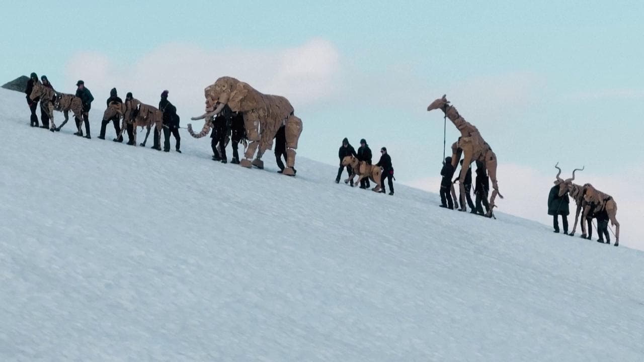 Dal Congo a Capo Nord, le maxi-marionette di animali in fuga dal cambiamento climatico