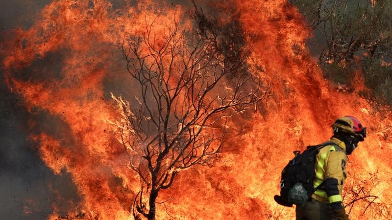 Europa in fiamme: “Incendi aumentati del 45% rispetto al 2024”. Cosa c’entra la crisi climatica