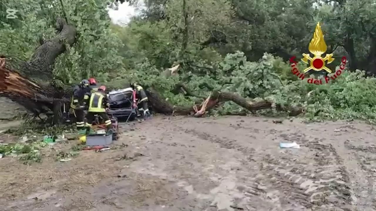 Basilicata, quercia spezzata dal maltempo centra un'auto: un morto e tre feriti gravi