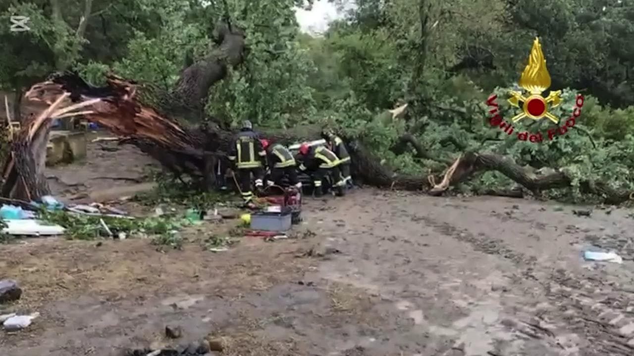 Un albero cade su un'auto, un morto e tre feriti nel Materano