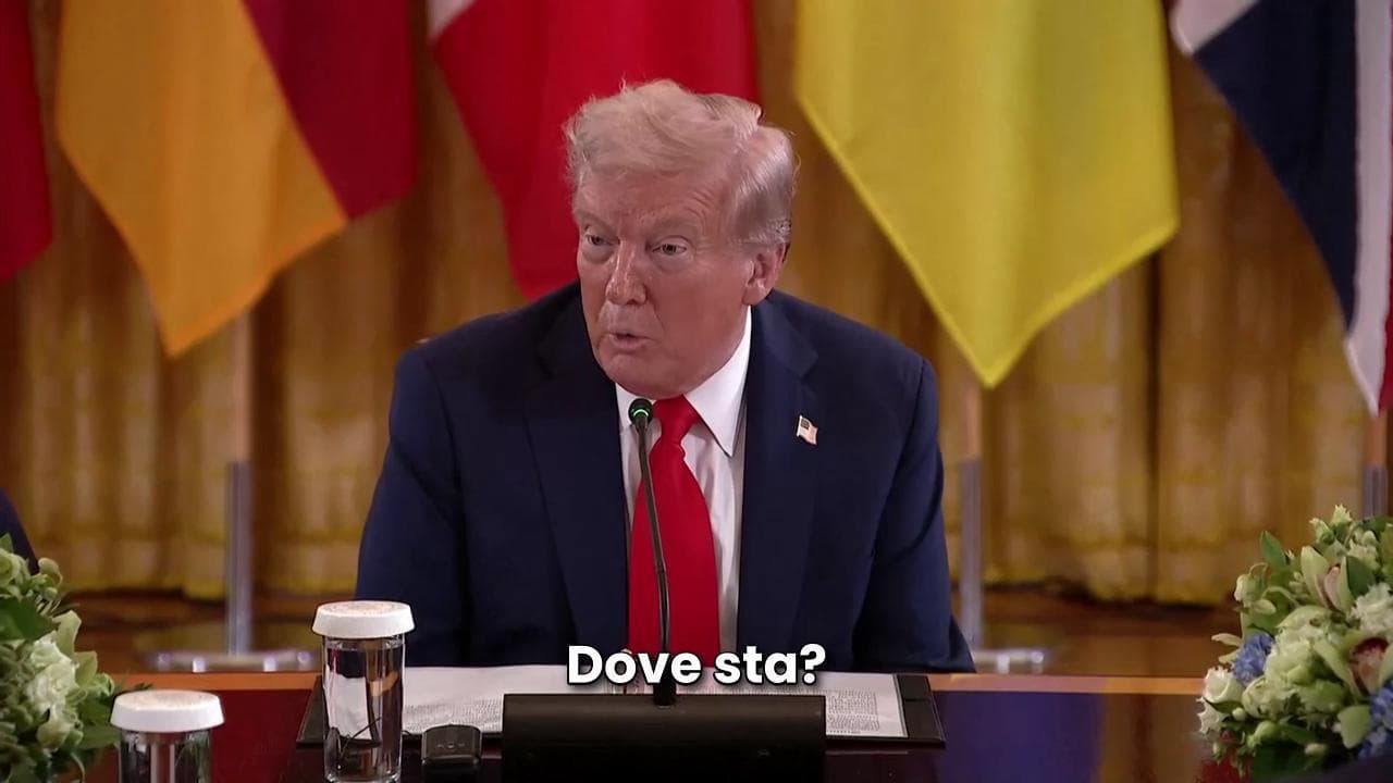 Trump scherza sulla tintarella di Merz e presentando Stubb: "E dov'è?" Ma ce l'aveva di fronte
