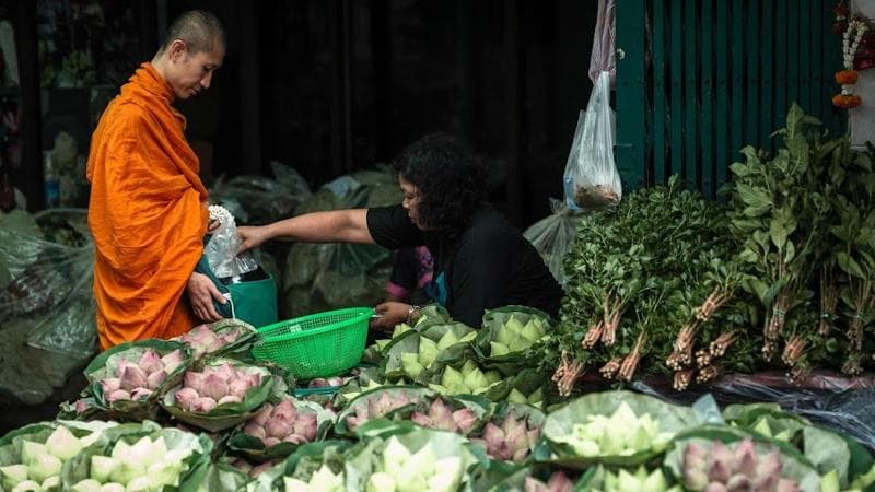 Preghiera vegetale