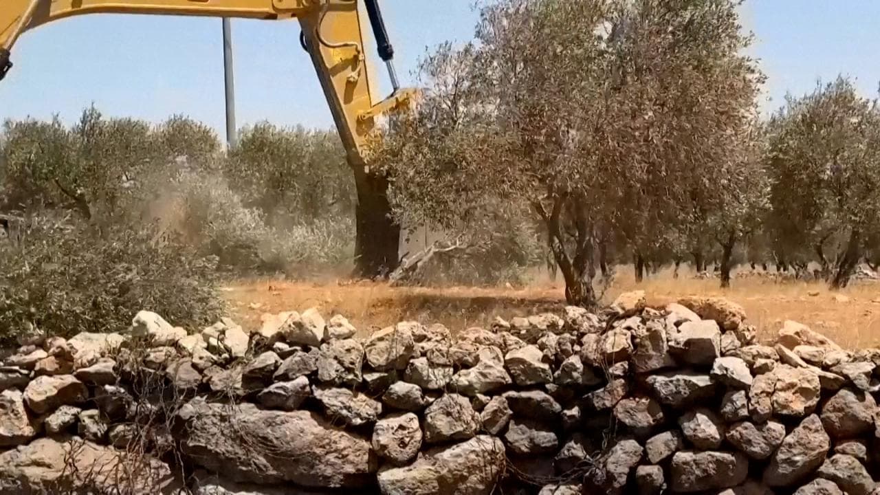 Cisgiordania, bulldozer israeliani sradicano 3mila ulivi secolari: "Miglioriamo le difese"