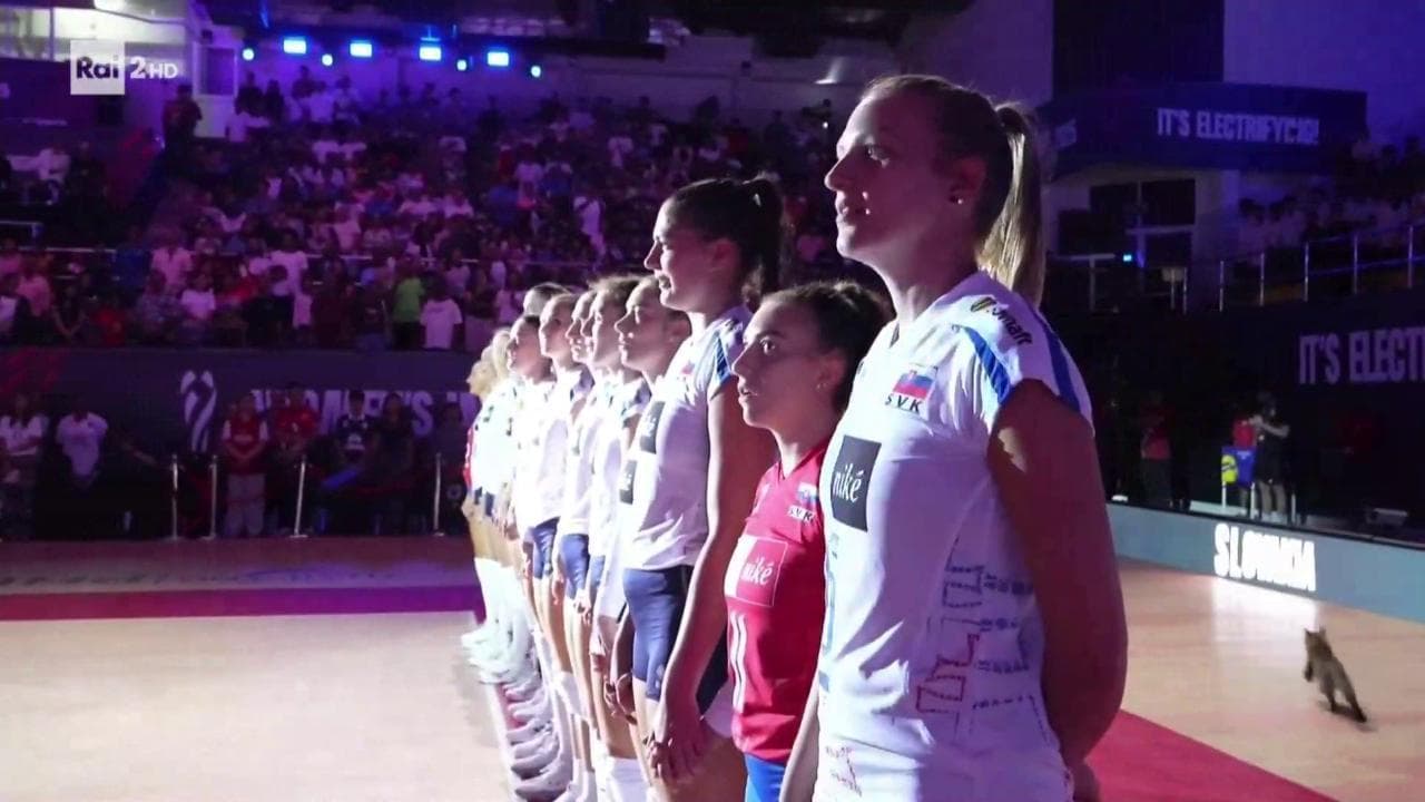 Un gatto fa irruzione sul parquet prima di Italia-Slovacchia dei Mondiali femminili di volley