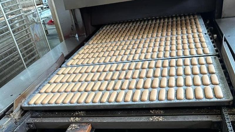 Un savoiardo per due: la dolce sfida dei biscotti