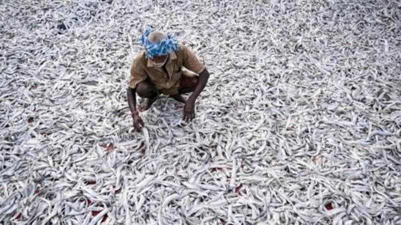R. Satish BABU / AFP