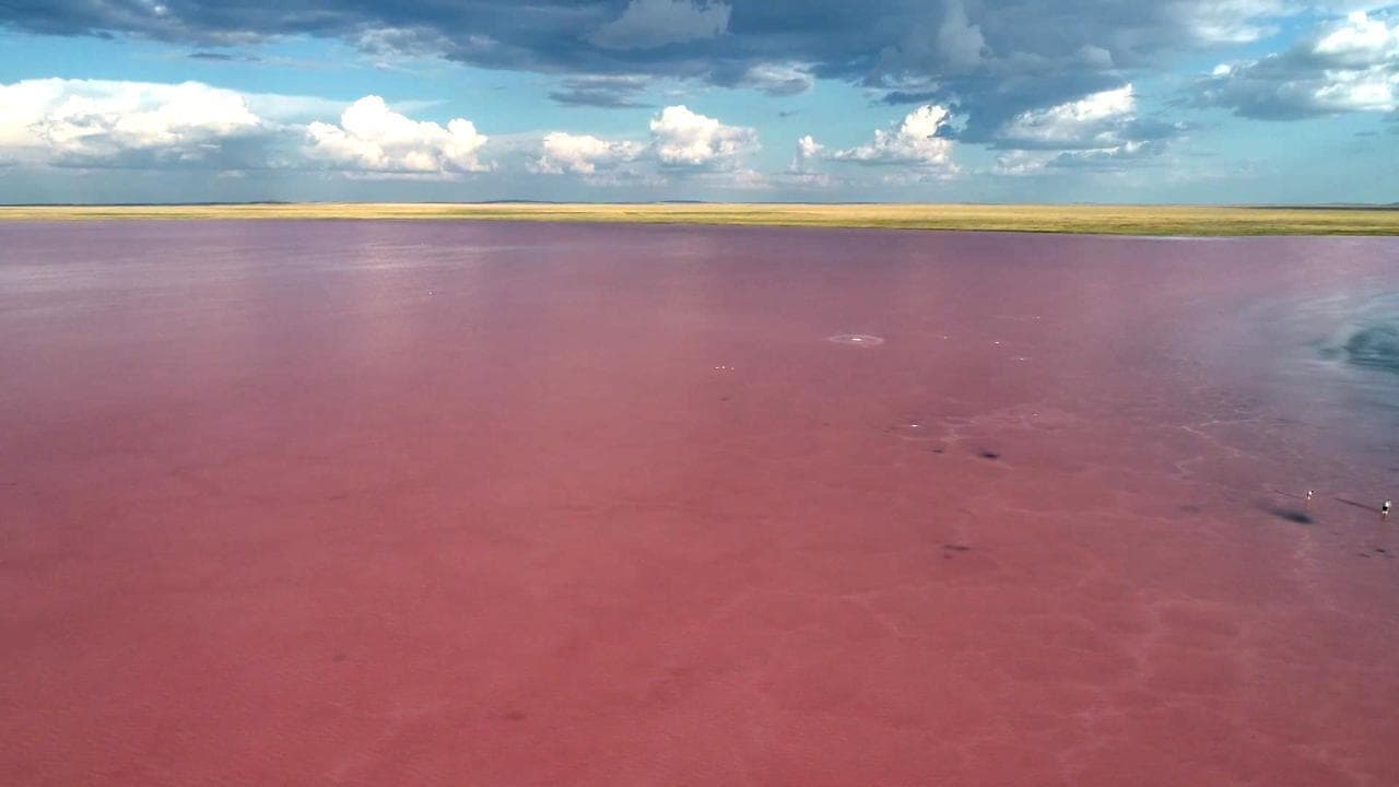 Kazakistan, dopo 5 anni riapre il Lago Rosa rovinato dai turisti e dalle fake news sul Covid