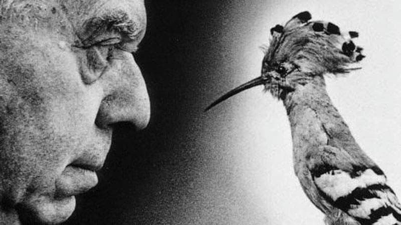 Mulas e Montale, fotografia di un incontro