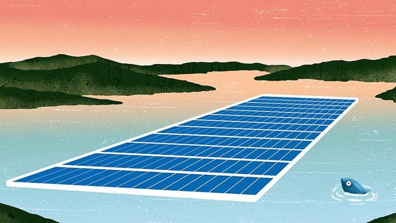 Illustrazione di Alberto Ruggeri