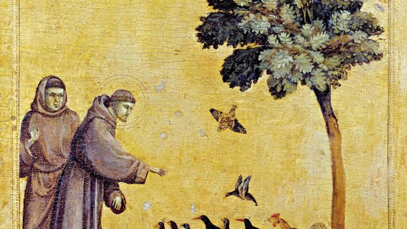 San Francesco (Photo by Leemage/Corbis via Getty Images)
