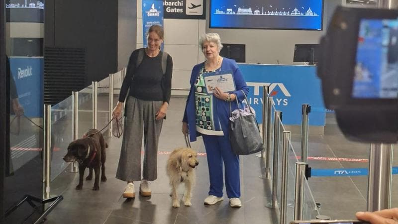 Primo volo con cani in cabina: “Non hanno abbaiato, viaggio sereno”. Ma c’è chi critica l’iniziativa