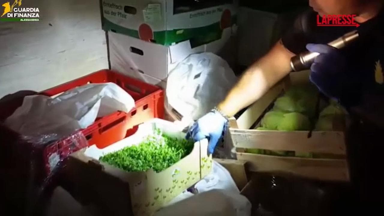 Tortona, sequestrati 382 chili di cibo in cattivo stato di conservazione: le immagini del blitz