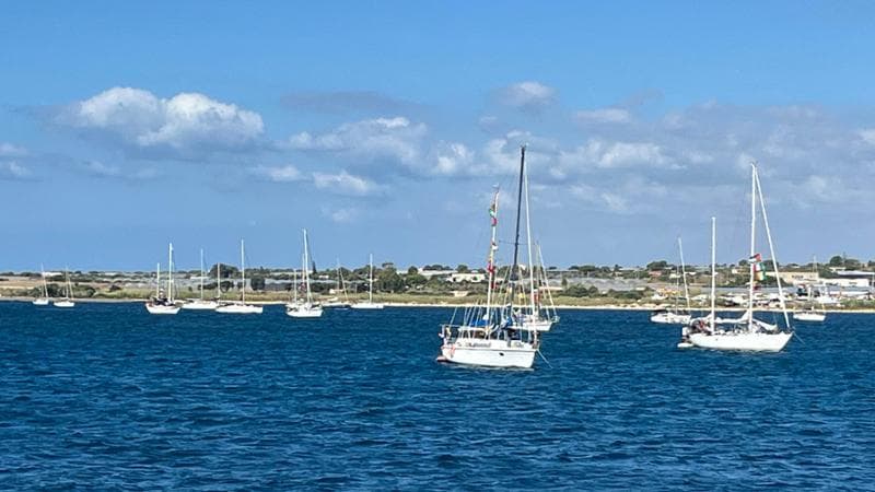 Flotilla, contesta la presenza di un attivista Lgbtq+: coordinatore di Tunisi lasciato a terra
