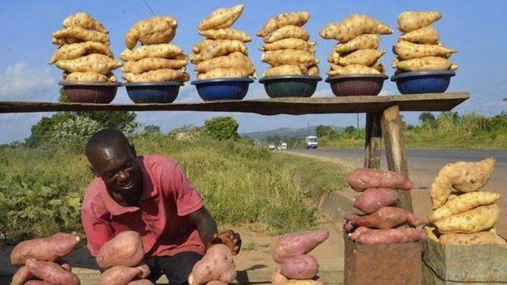 Kenya, Gıda Atıkları: Üretilen yiyeceklerin% 40'ına kadar kaybedilir, yaklaşık 9 milyon ton
