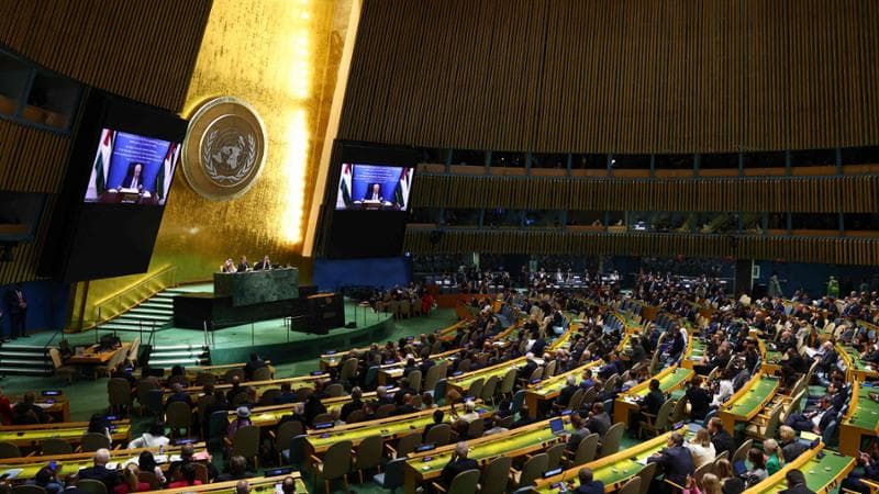 “Creata per salvare l’umanità dall’inferno”, cos’è l’Onu e cosa può fare per la Palestina
