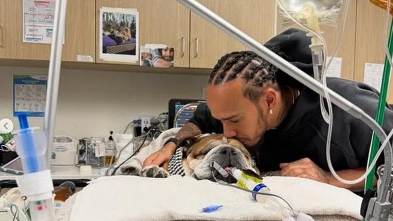 Hamilton con Roscoe