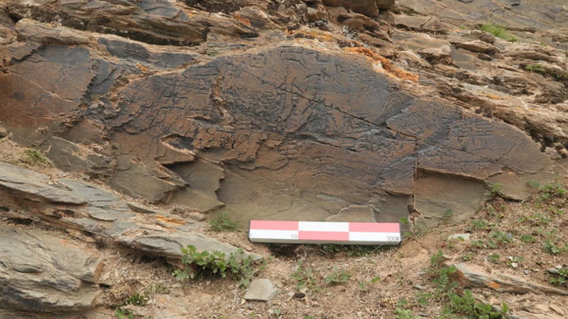 L'immagine della stele fornita dall'Accademia Cinese di Scienze Sociali