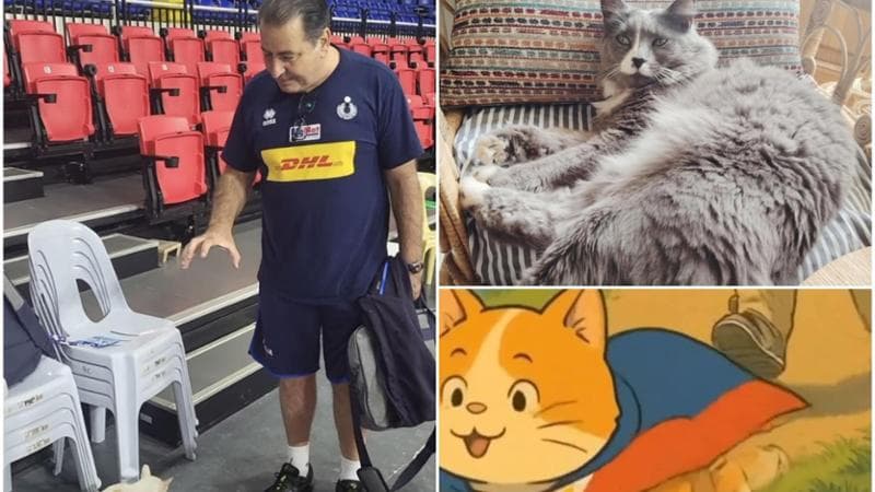 Grace, Pino e Luigino: i gatti campioni del mondo con Fefè De Giorgi