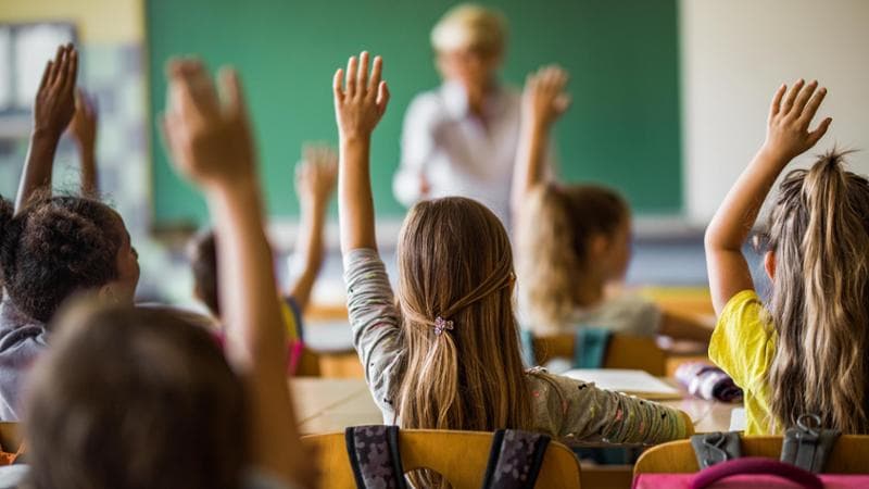 Alimentazione, riparte il progetto educativo ‘A scuola di dolcezza’