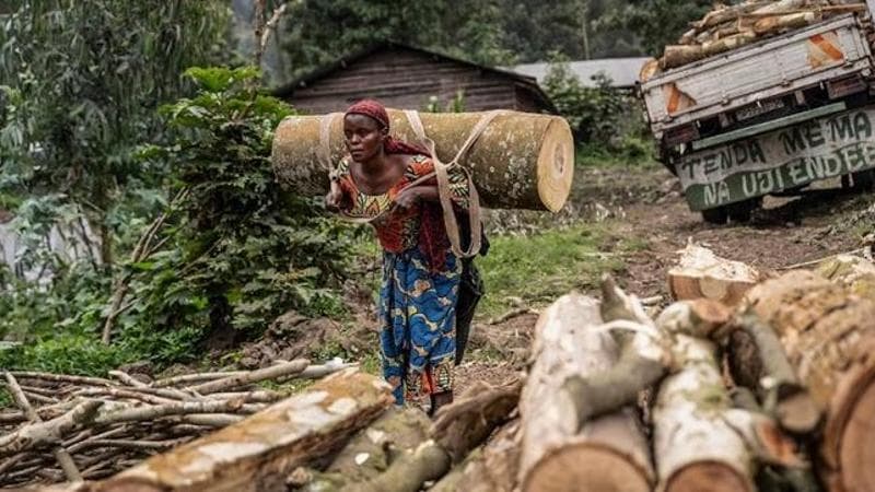 Jospin Mwisha / AFP