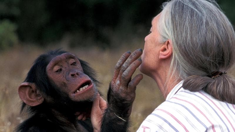 Jane Goodall