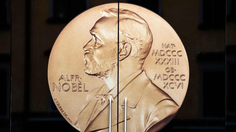 Nobel Tıp Ödülü 2025, Mary Brukow, Fred Ramsdell ve Shimon Sakaguchi