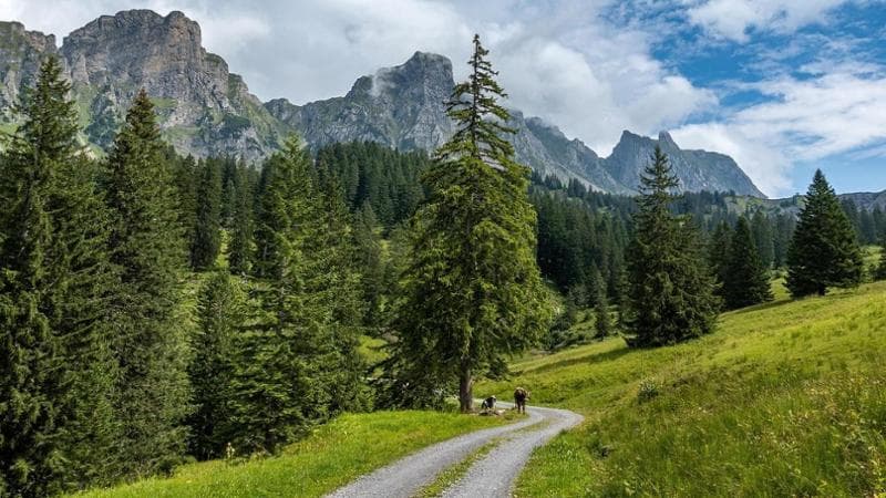 Il piacere di scoprire l'Italia a piedi: torna la Giornata del Camminare. La guida