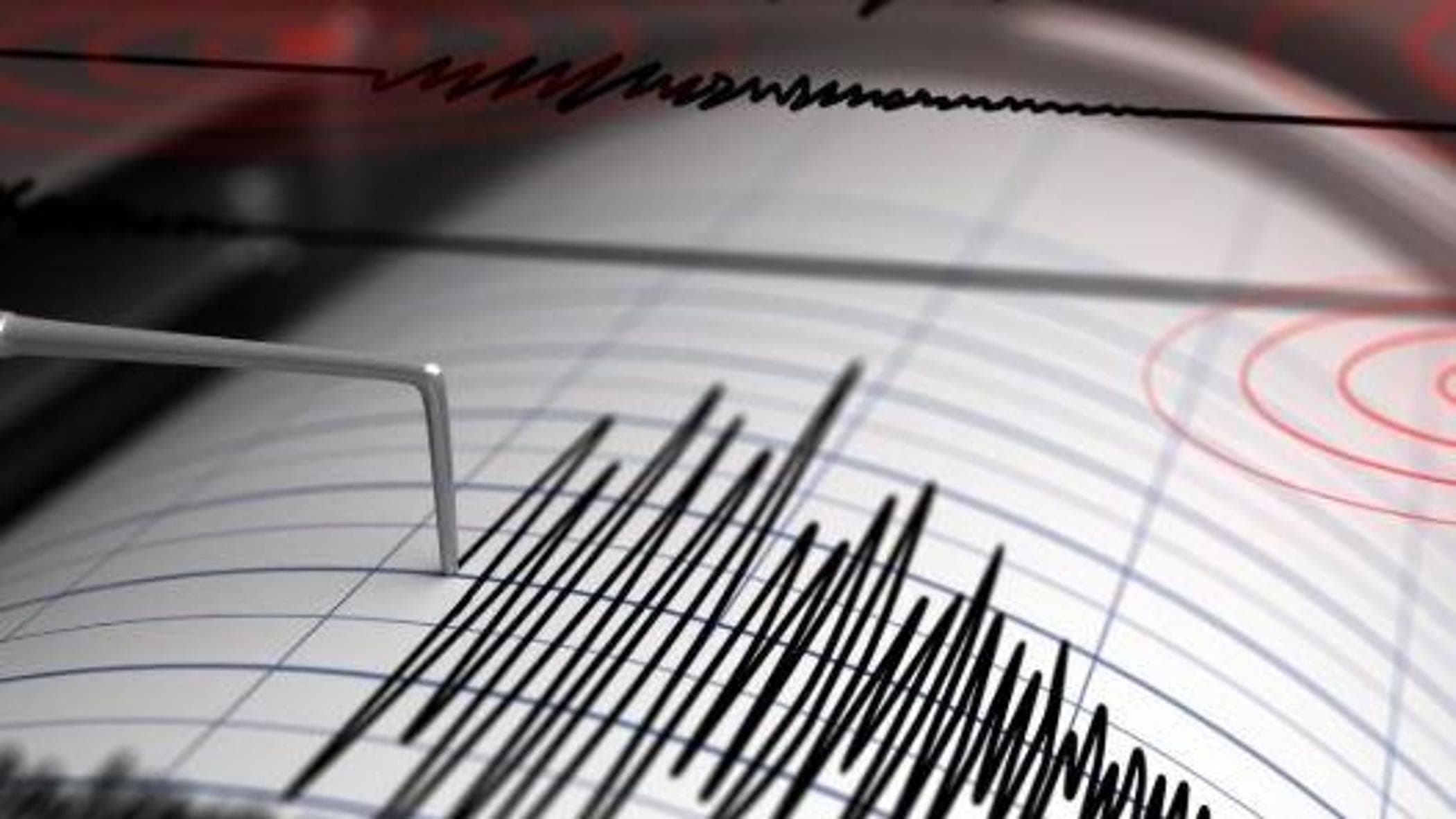 terremoto in tempo reale ancona an