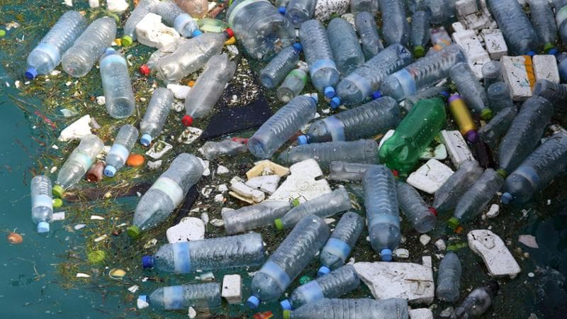 I “crediti di natura” per salvare economia e ambiente