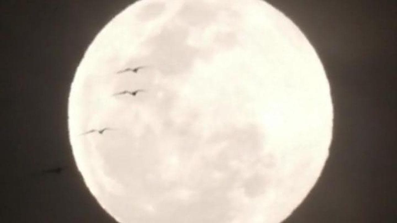 Superluna d’ottobre abbraccia il Sud America: bagliori d’argento su Rio e Bogotà