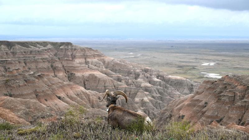 Badlands National Park @Daniela Solito