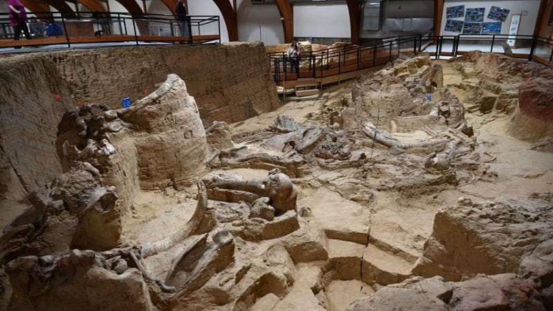 Il Mammoth Site di Hot Springs @Daniela Solito