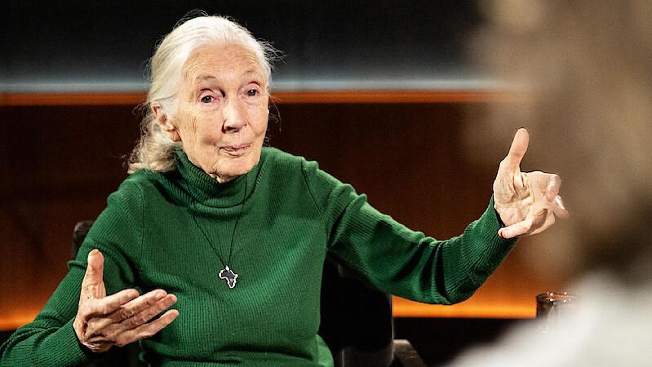 Jane Goodall e l’intervista postuma: “Famous last words”, la serie che ...