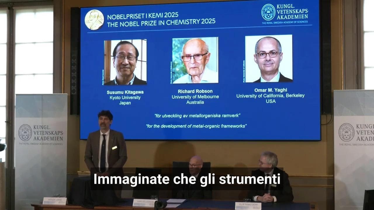 Tre Nobel Chimica - Annuncio e motivazione: "Le loro strutture come la borsetta di Hermione"