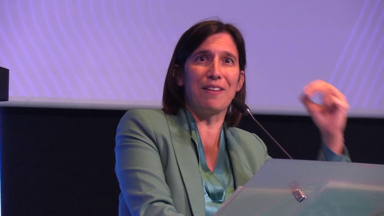Schlein: "Un piano da 800 miliardi per un'Europa green e difesa comune, anche con la maggioranza"