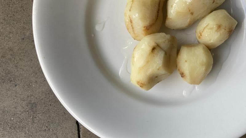 La metamorfosi del topinambur