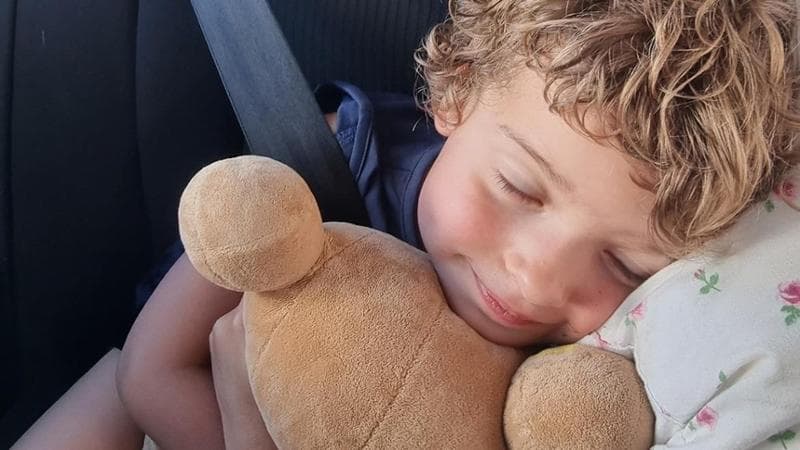 Peluche perso in treno, il papà lancia un appello: “Era un regalo della mamma che è morta”