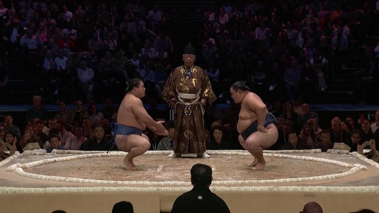 I giganti del sumo si sfidano a Londra: le spettacolari immagini del torneo dalla Royal Albert Hall