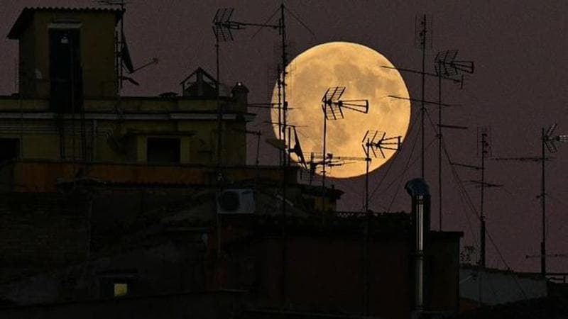 Tiziana FABI / AFP