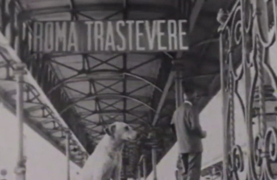 Lampo fotografato a Roma Trastevere