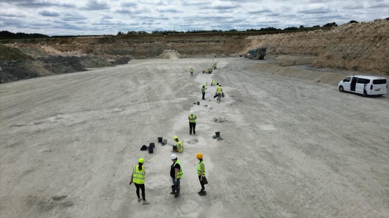 Inghilterra, il cammino dei dinosauri: scoperte impronte risalenti a milioni di anni fa